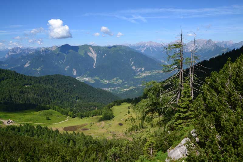 sentieri sul monte zoncolan in estate